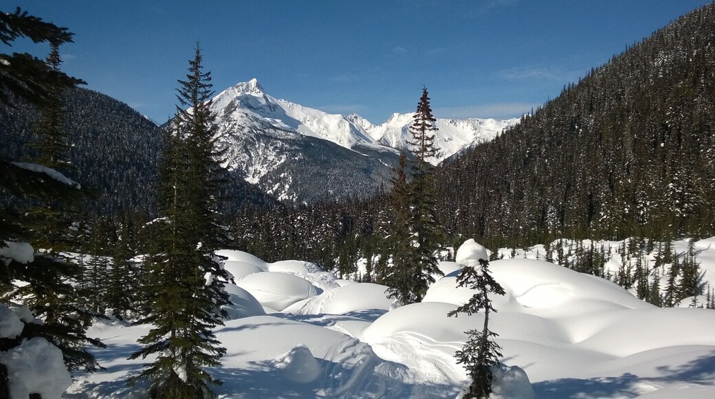 Snowshoeing in the stunning Glacier National Park, British Columbia, Canada.