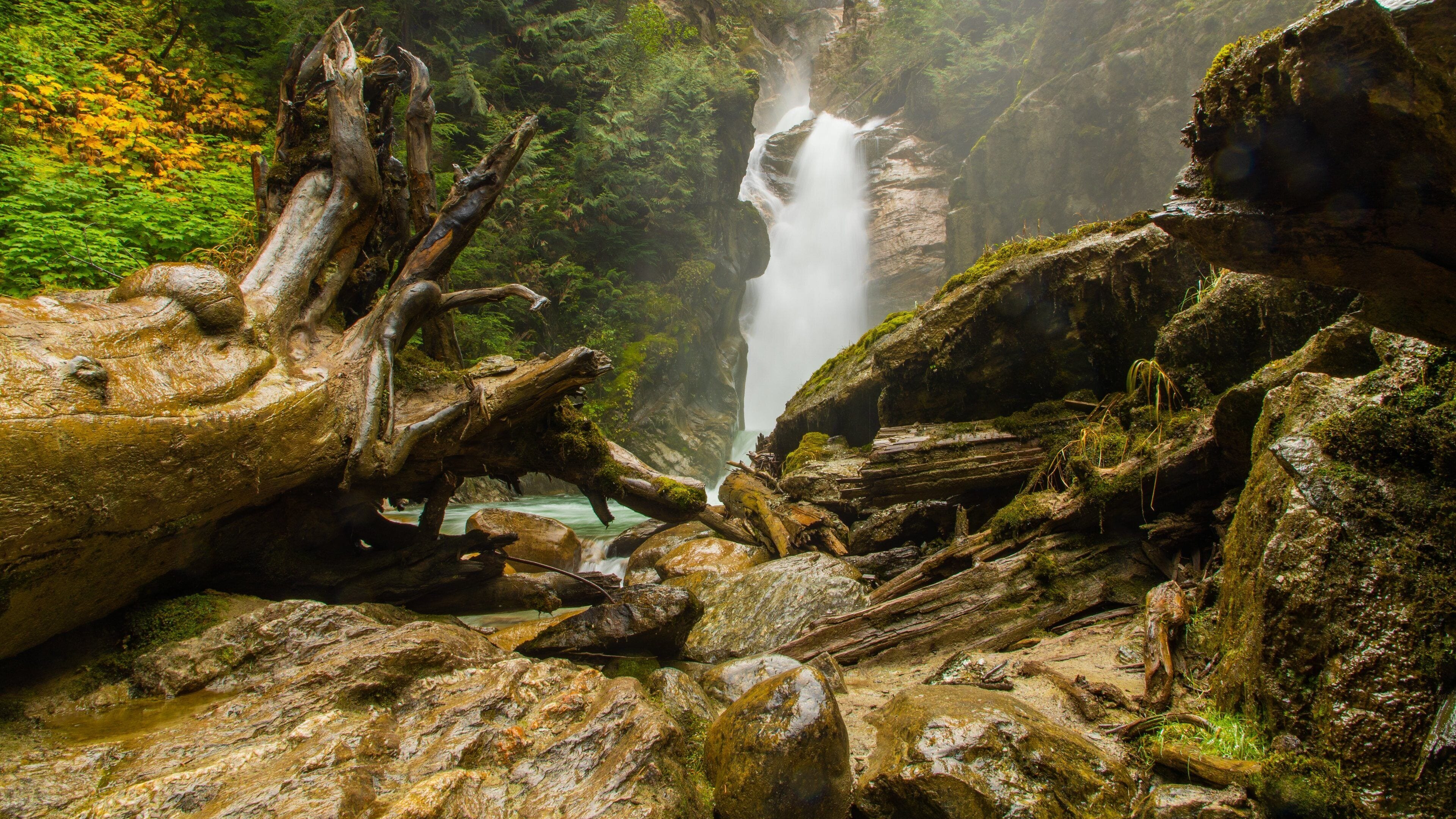 Una cascada rodeada de grandes rocas y ramas de árboles caídas.