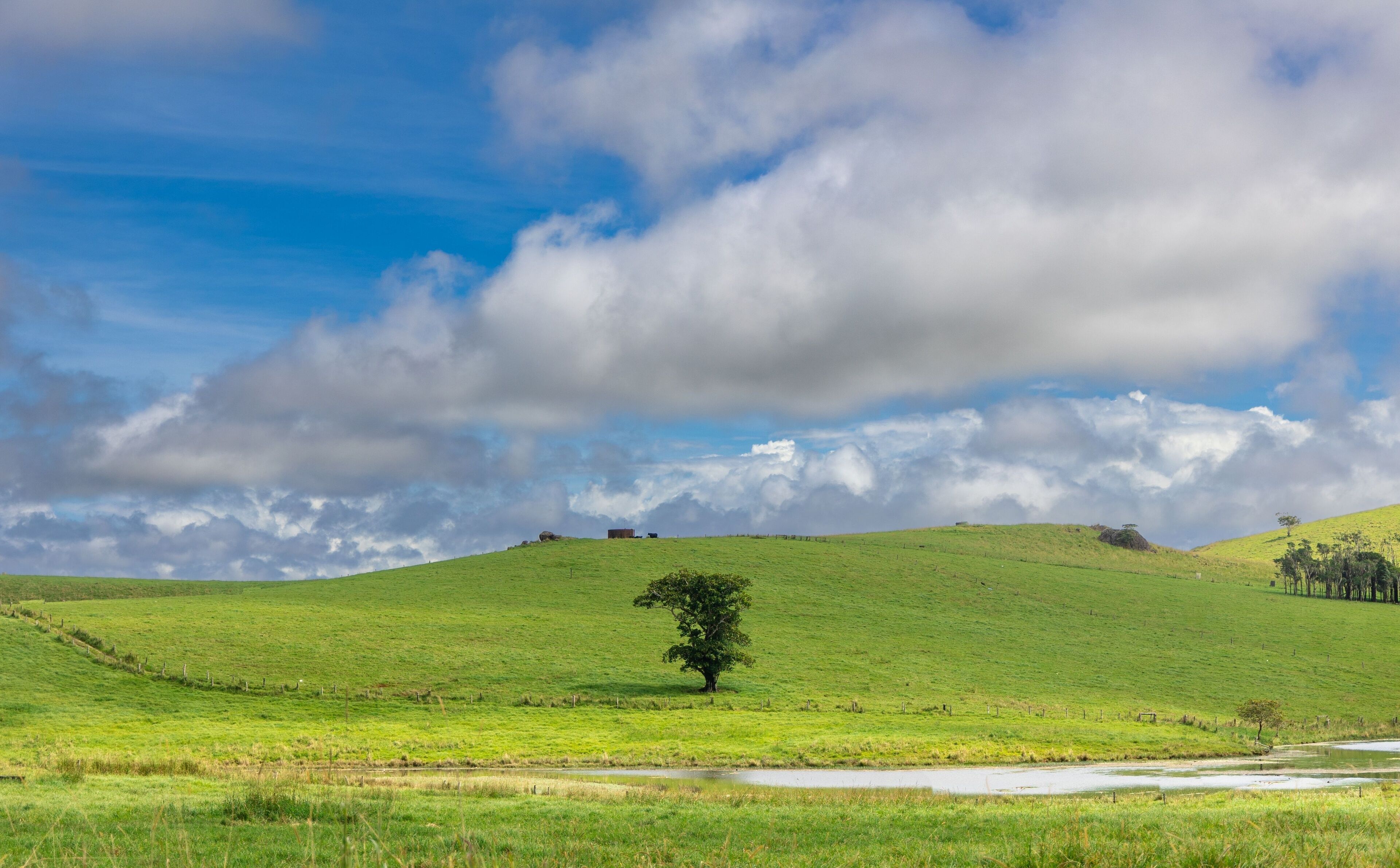 Landscape image of tablelands on the Evelyn Road far north Queensland