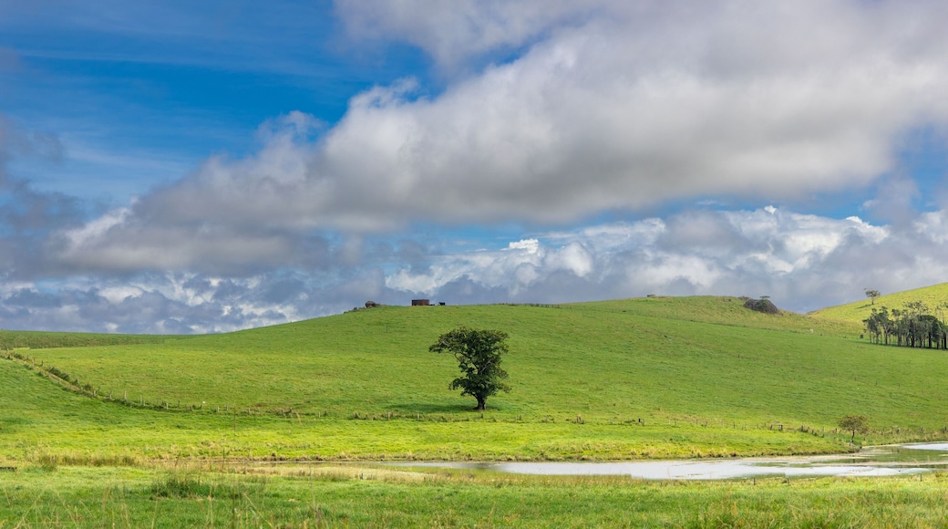 Landscape image of tablelands on the Evelyn Road far north Queensland