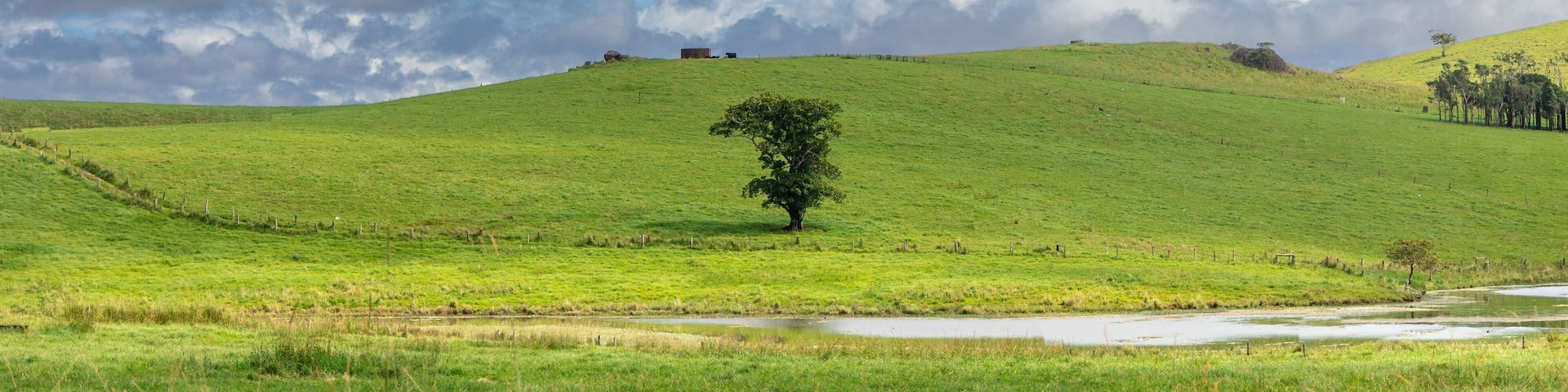 Landscape image of tablelands on the Evelyn Road far north Queensland