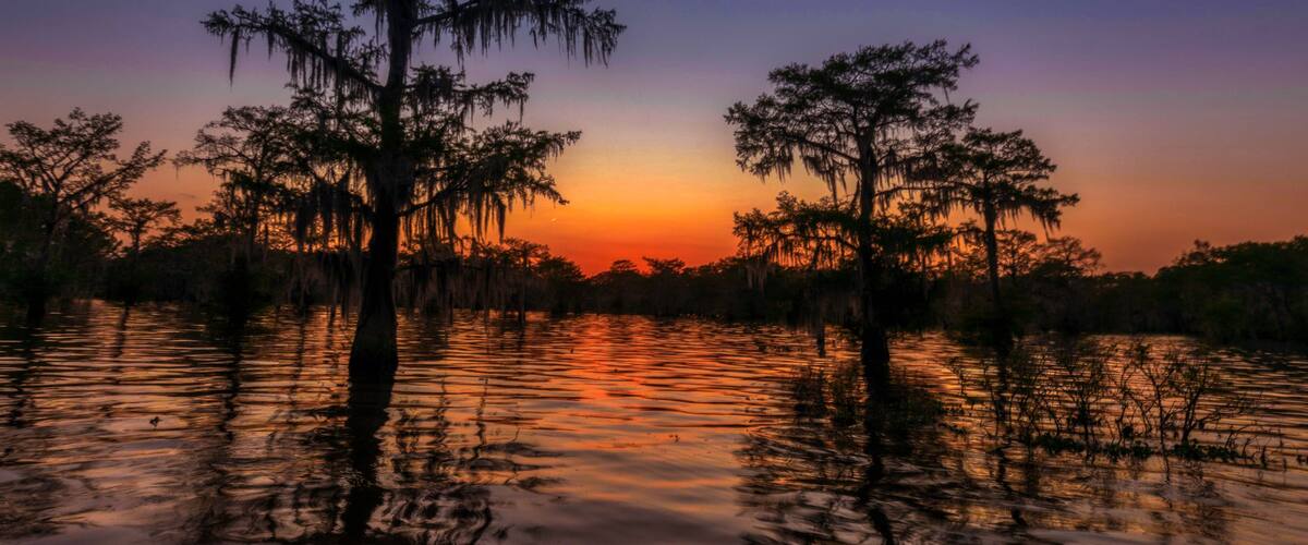 Swamp Sunset