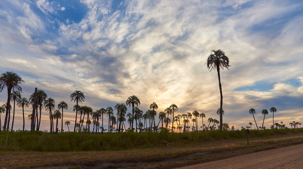 Département de Colón