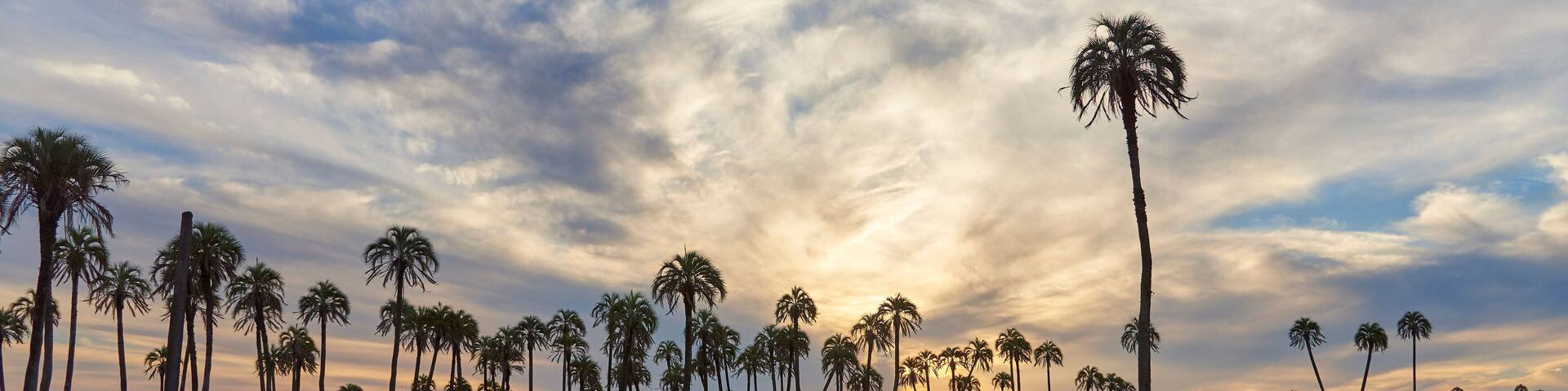 Sunset in El Palmar National Park, in Entre Rios, Argentina, a natural protected area where the endemic Butia yatay palm tree is found. A dirt road and a dramatic sky.