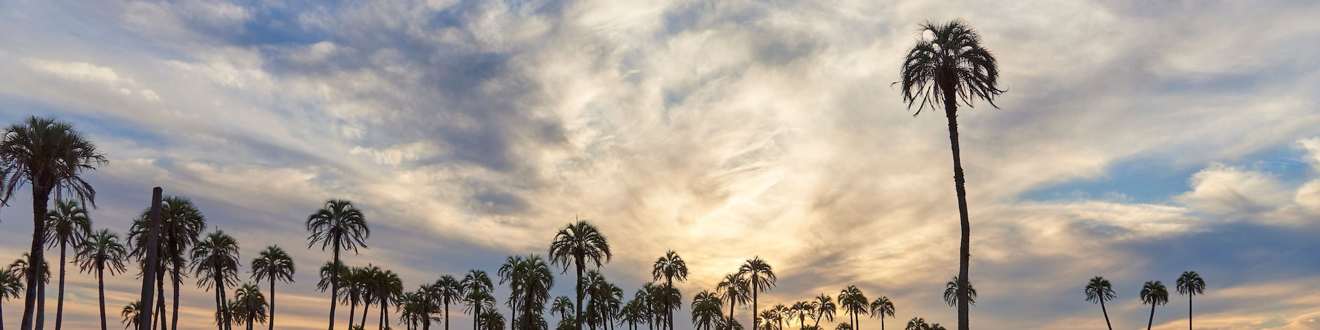 Sunset in El Palmar National Park, in Entre Rios, Argentina, a natural protected area where the endemic Butia yatay palm tree is found. A dirt road and a dramatic sky.