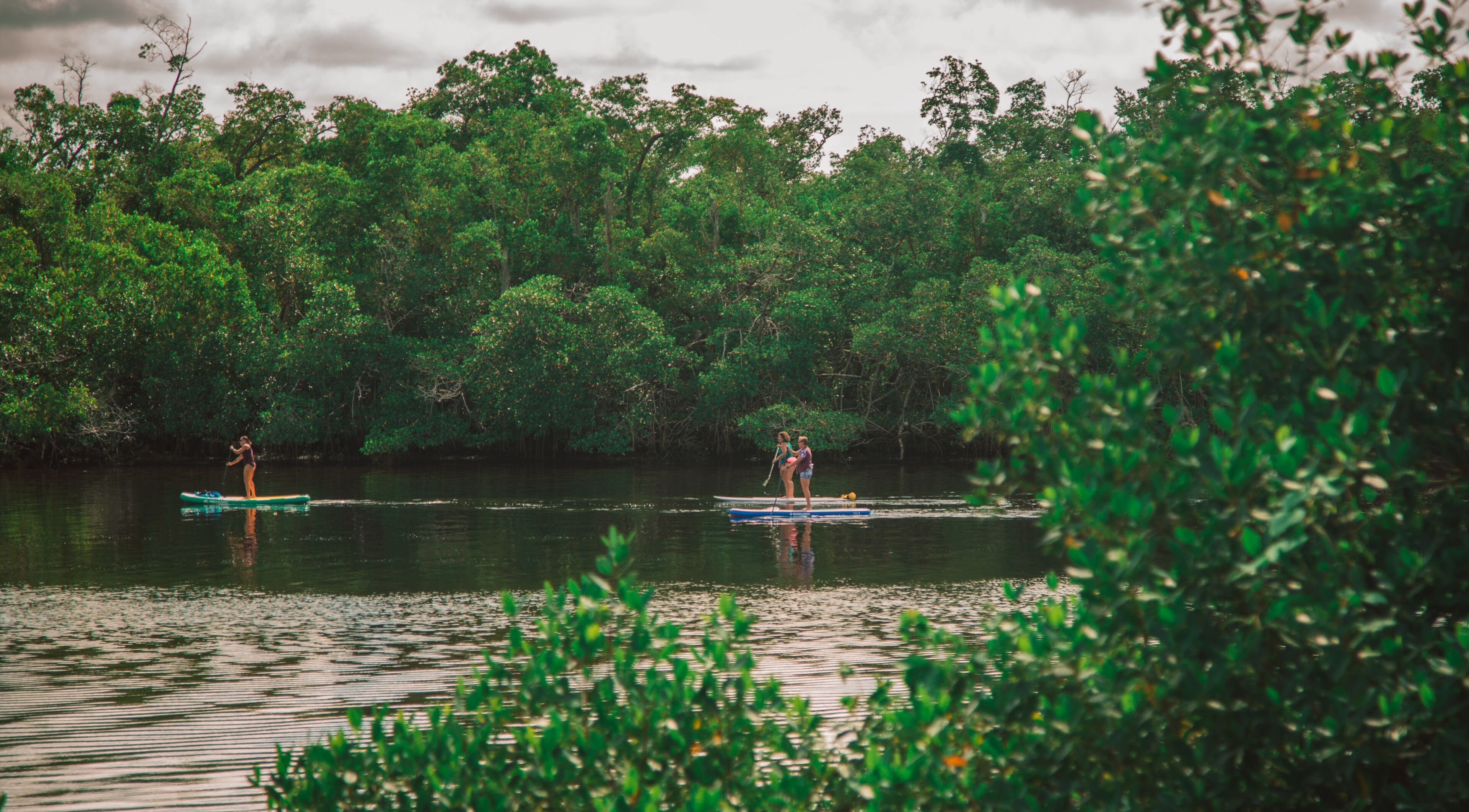 paddle boarding at Baker park in Naples Florida south west Florida public park 
