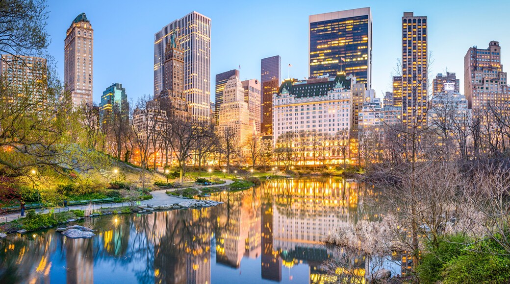 Central Park New York City at Dusk