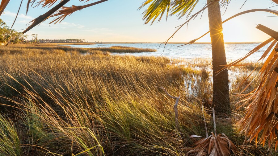 セント ジョー ビーチ