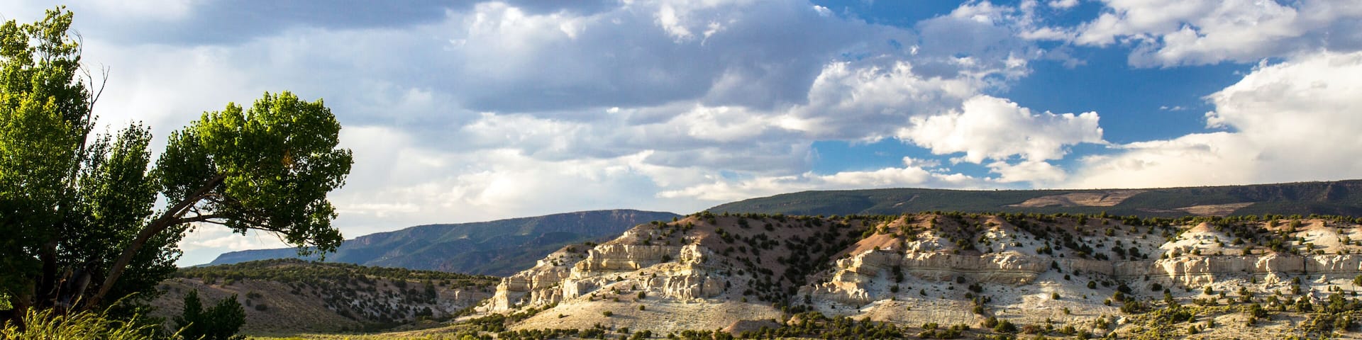 A landscape with a prominent cliff formation, a clear sky, and a tree in the foreground.