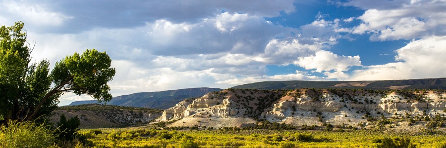 Un paysage caractérisé par une falaise imposante, un ciel dégagé et un arbre au premier plan.