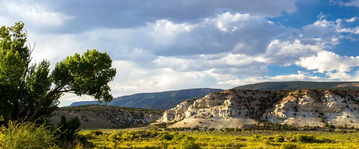 A landscape with a prominent cliff formation, a clear sky, and a tree in the foreground.