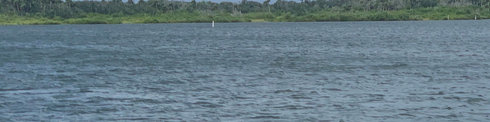 A day of boating enjoying the porpoises(dolphins) playing.