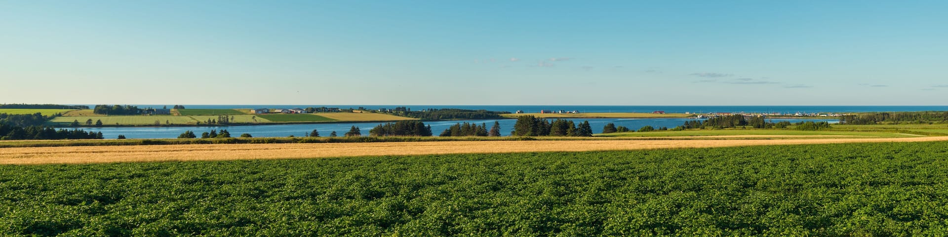 Panorama of scenic view of Point East Coastal Drive