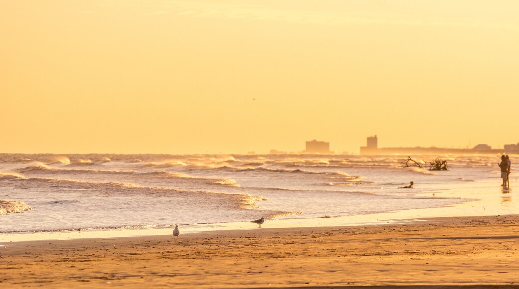 老城阿蘭薩斯港