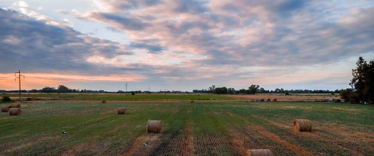 pasajes de los campos de la provincia de buenos aires, argentina, donde se puede apreciar la extensa llanura de la región pampeana.