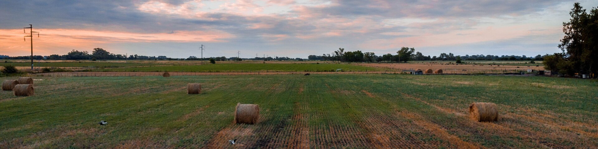 pasajes de los campos de la provincia de buenos aires, argentina, donde se puede apreciar la extensa llanura de la región pampeana.