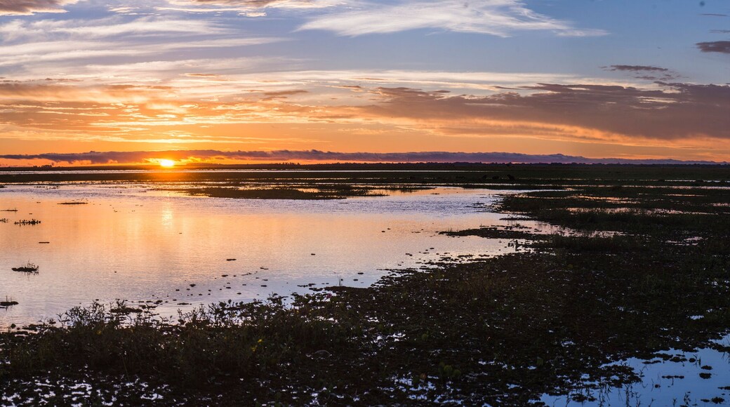 Département de General Obligado