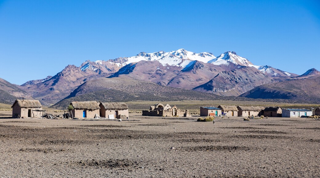 Small village of shepherds of llamas in the Andean mountains. The Sajama National Park is a national park located in the Oruro Department, Bolivia. It borders Lauca National Park in Chile.