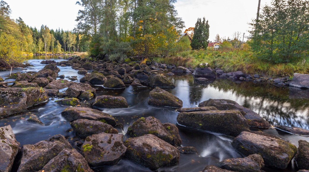 Municipio de Alvesta