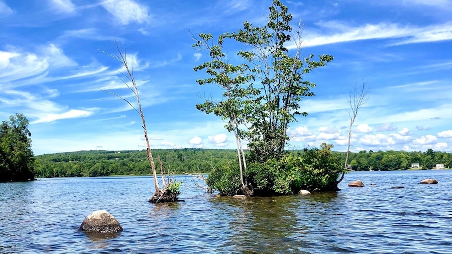 Put a few miles on kayaking on Big Indian Pond today. Love exploring the little spots that are too shallow for motorized boats to go.