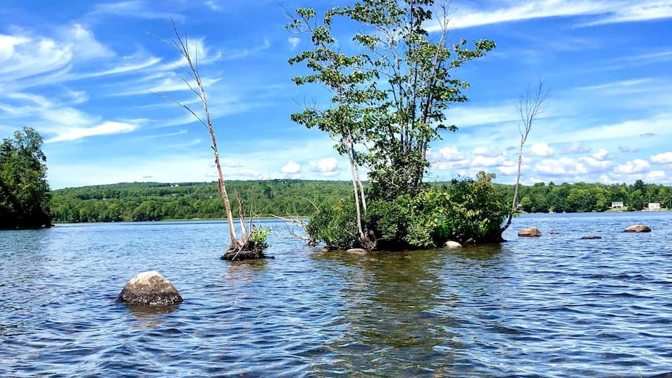 A calm lake with clear water, surrounded by trees and rocks.