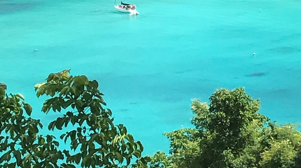 View from the side of the road on St. John's
Tip take the road so you on the left side around the island , easier to pull over to see the amazing views
#EndlessSummer
