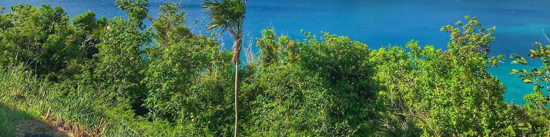 A coastal landscape with lush green hills and clear blue waters.