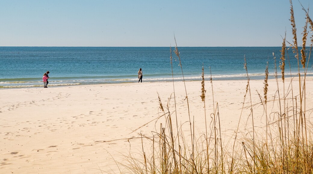 West Beach which includes general coastal views and a beach