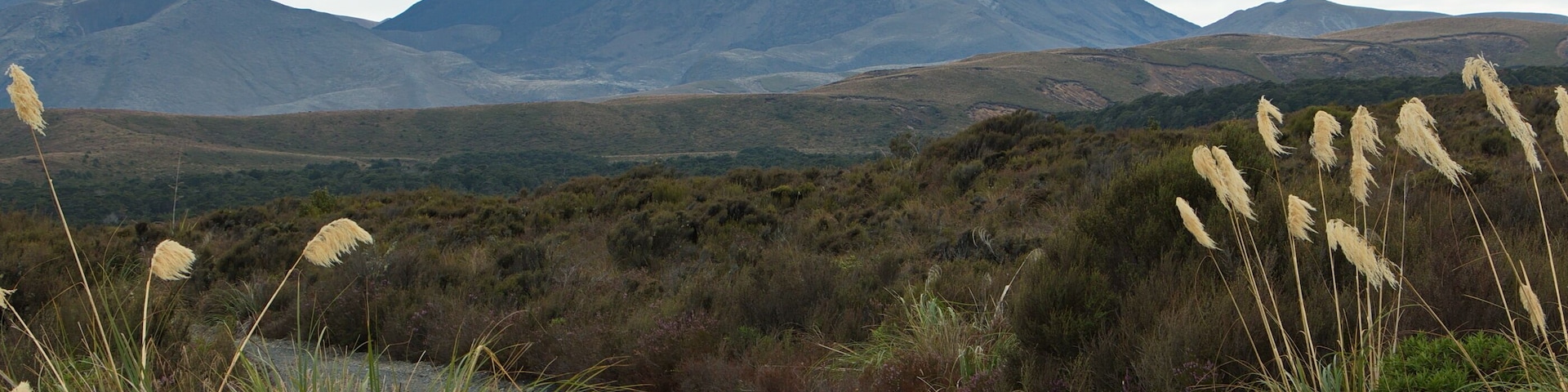 View of Mount Ngauruhoe from hiking track to Taranaki Falls in Tongariro National Park,Manawatu-Wanganui Region on North Island of New Zealand