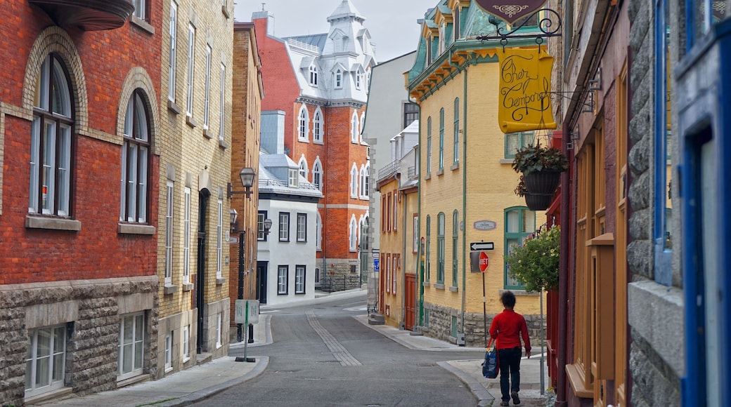 Steps away from the curious crowds on rue Saint-Jean in Old Quebec City, rue Couillard is a quiet street with charming historic buildings, รpicerie de la rue Couillard, and Chez Temporel, a cafรฉ oozing with #History โ once inside, cell phone signals weaken immediately due to its super thick walls!