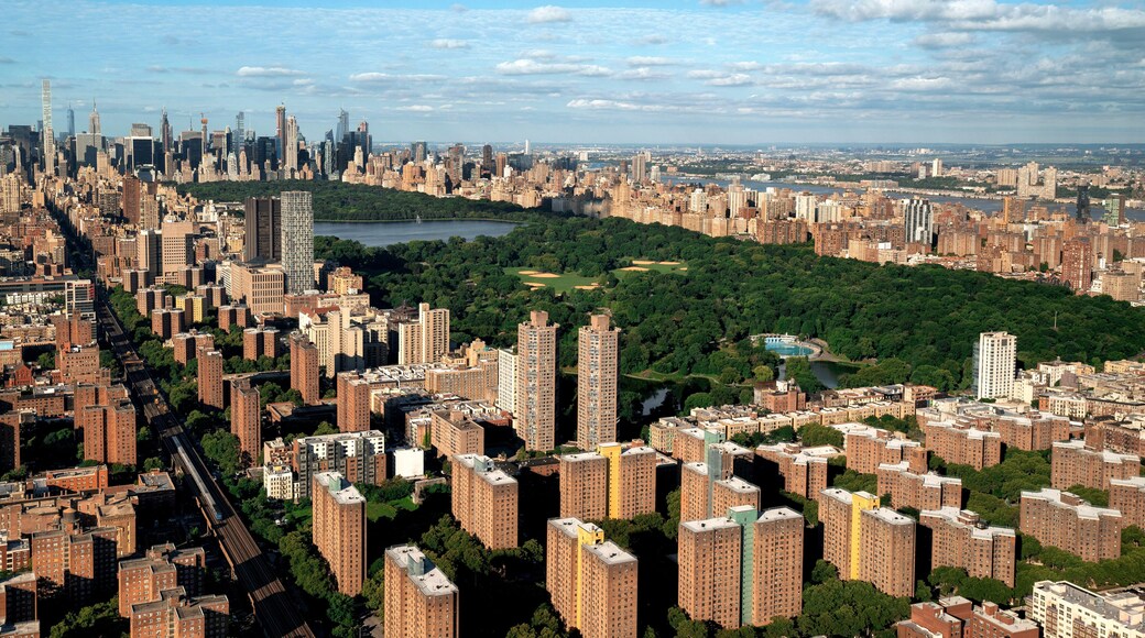 To Drone in New York