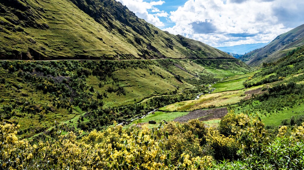 Provincia de Marañón