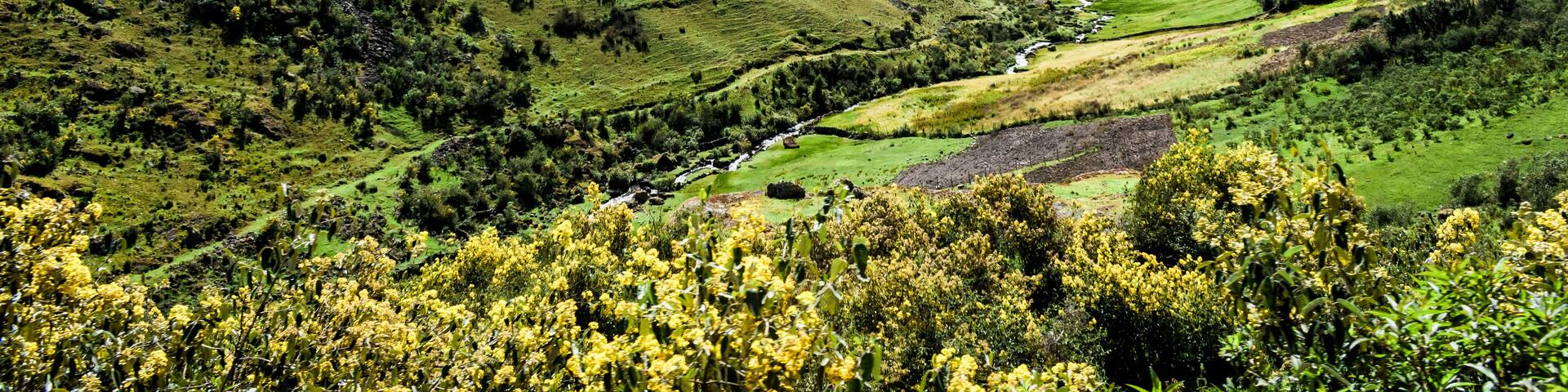 Sierra Peruana Huánuco