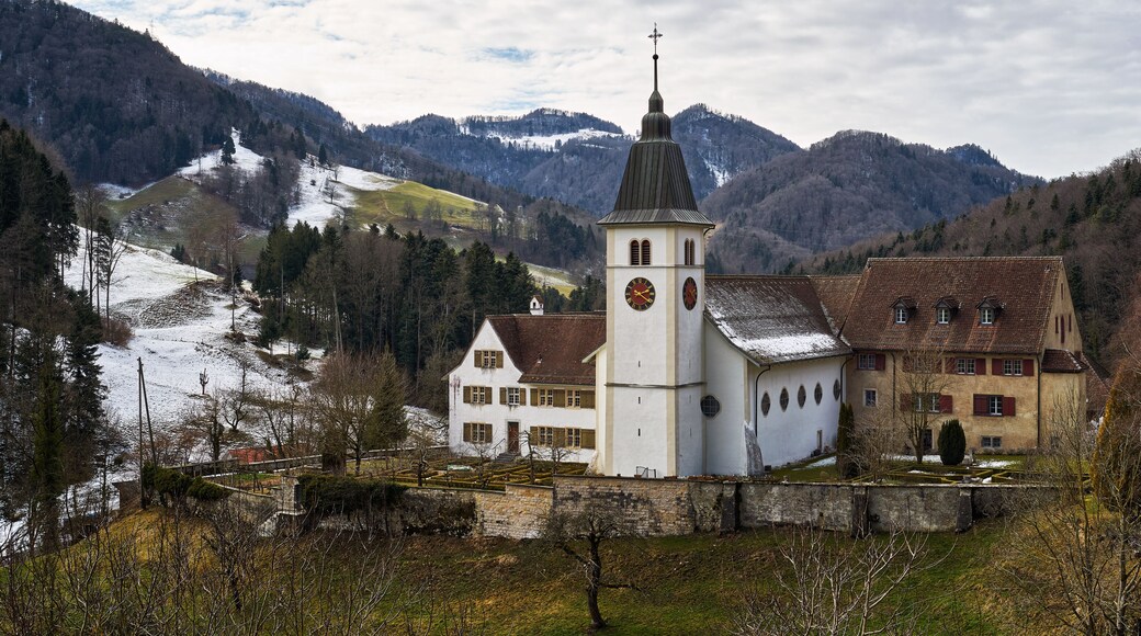 District de Thierstein