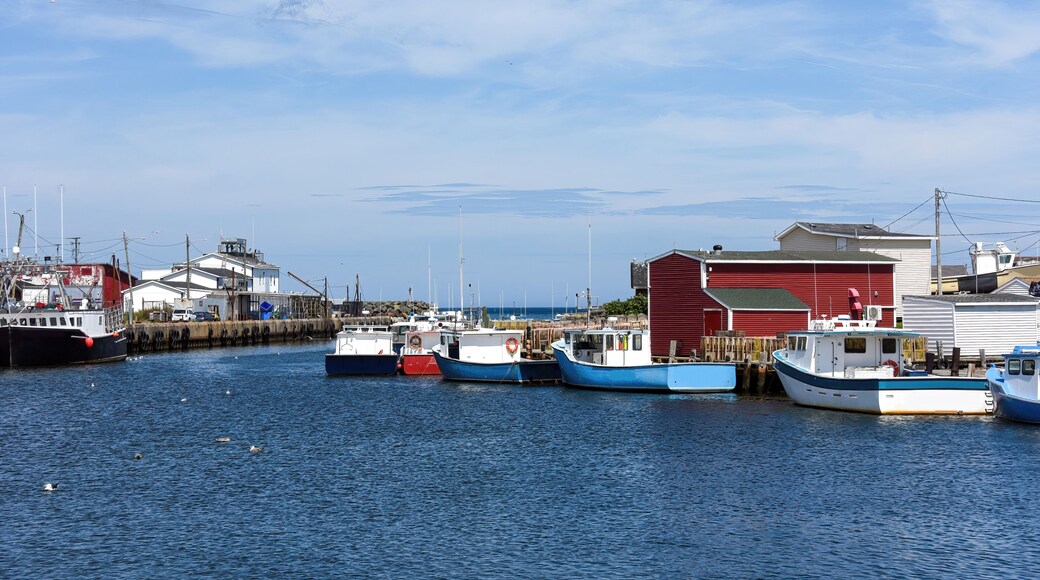 Municipalidad regional de Cabo Bretón