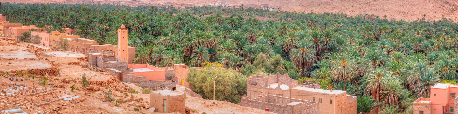 Huge palm grove in Ziz valley - Typical buildings in the old village, south of the city Errachidia, Province Errachidia, eastern Morocco.