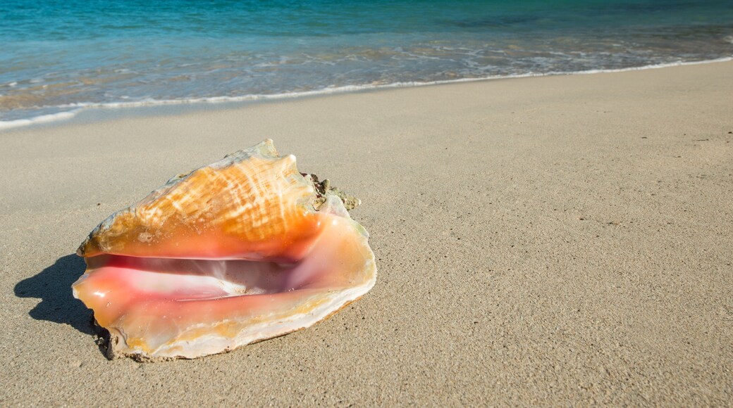 グヴェルヌール