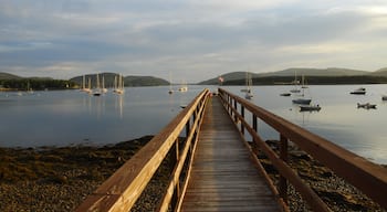 Morning in Manset, near Southwest Harbor, Maine