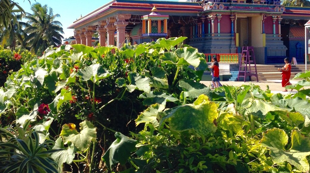 Beautiful temples engulfed by #blue skies.