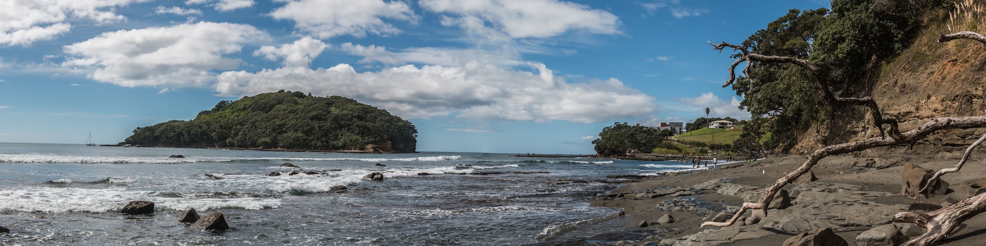 Goat Island Marine Reserve in New Zealand