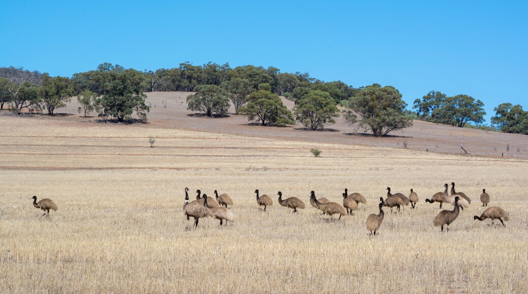 El Consejo del Distrito de Peterborough