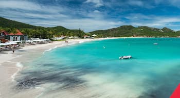 ปวงต์ มีลู