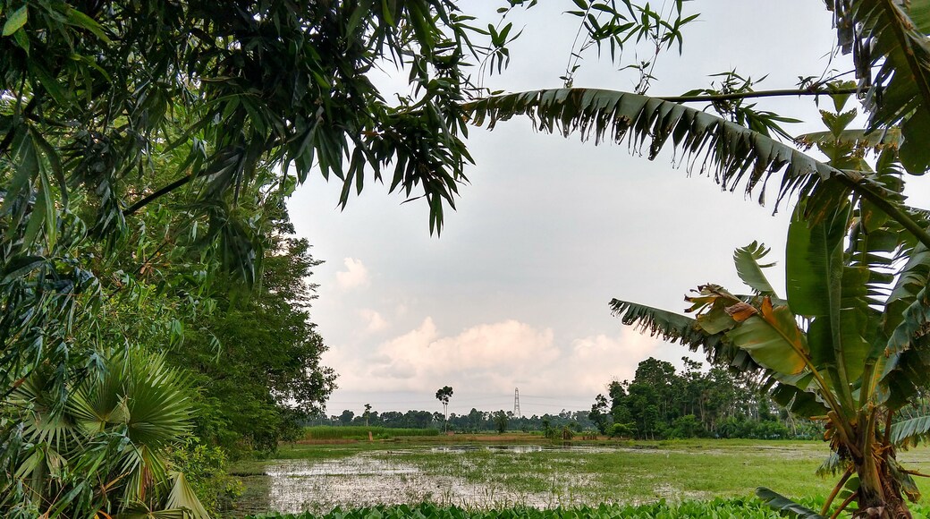 District de North 24 Parganas