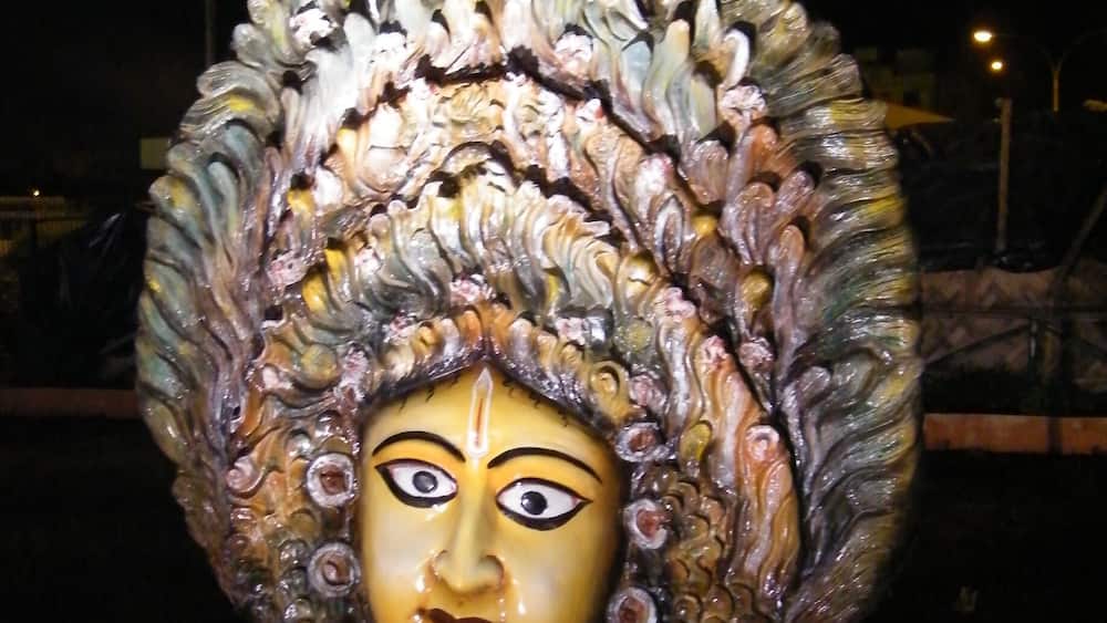 Musk Garden
Visit after sunset to see hundreds of musk around the world Unique collection indeed