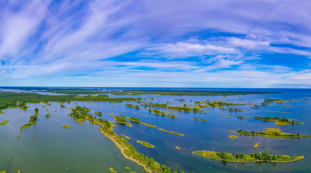 ์ค๋ณผ๋๋ ํฌ๋ฃฌ๋ง