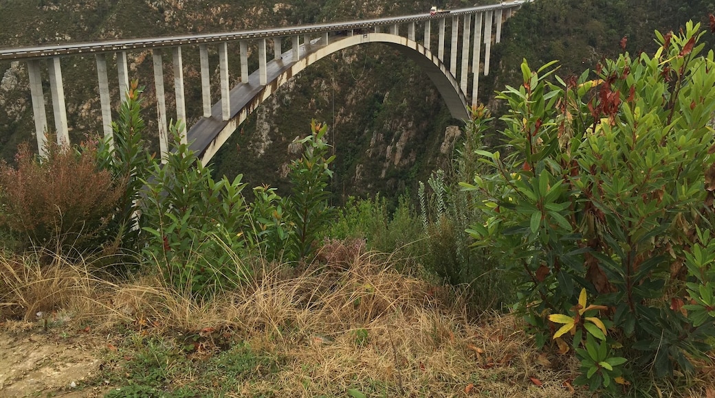 World's tallest bungee bridge in South Africa (at least until the new one opens in China). And yes, I jumped!! 👍🏼🙈