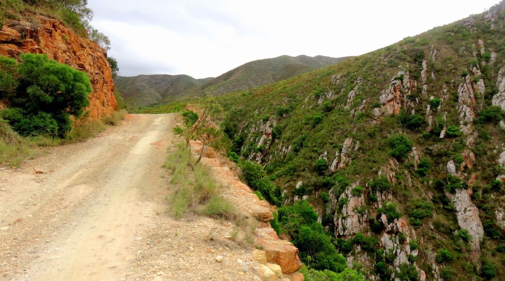 Very narrow and high road through Baviaanskloof
