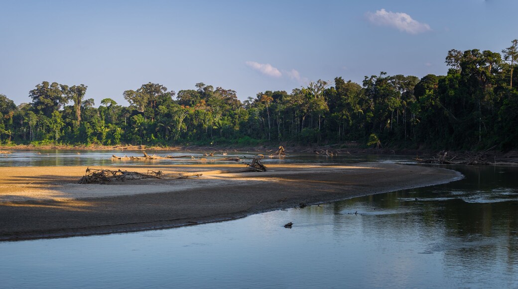 Manu National Park, Peru - August 07, 2017: Landscape of the Amazon rainforest of Manu National Park, Peru