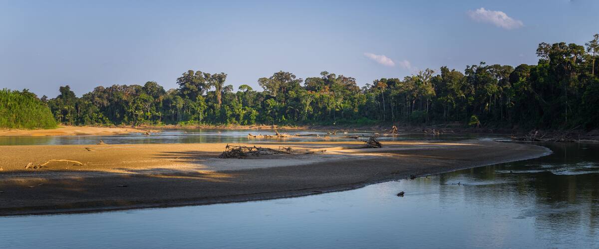 Manu National Park, Peru - August 07, 2017: Landscape of the Amazon rainforest of Manu National Park, Peru