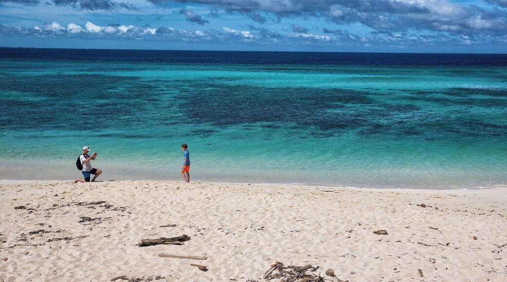 The beach at Monuriki Island, Fiji. This is where the movie "Cast Away" was filmed. You can visit Monuriki Island (also called Modriki Island) on a day trip from the Mamanuca Islands. #blue #beach #fiji